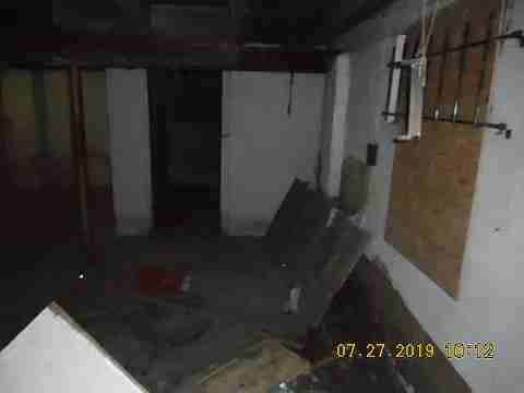 16737 Dolphin (33)_m.jpg